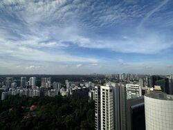 The Scotts Tower (D9), Condominium #443224671